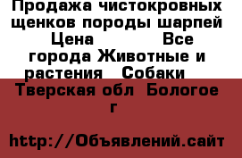 Продажа чистокровных щенков породы шарпей › Цена ­ 8 000 - Все города Животные и растения » Собаки   . Тверская обл.,Бологое г.